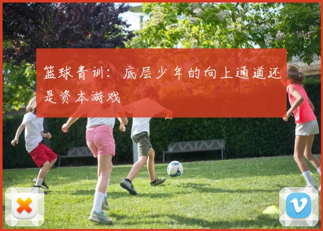 篮球青训：底层少年的向上通道还是资本游戏