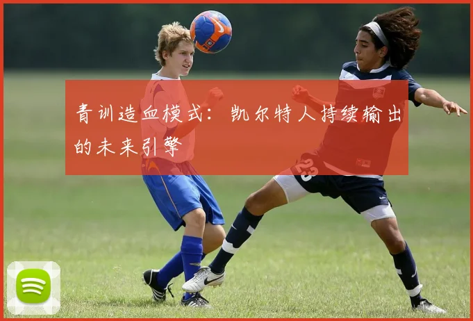 青训造血模式：凯尔特人持续输出的未来引擎