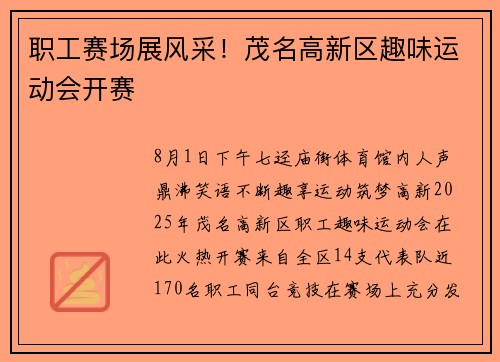 职工赛场展风采！茂名高新区趣味运动会开赛​