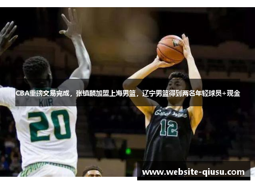 CBA重磅交易完成，张镇麟加盟上海男篮，辽宁男篮得到两名年轻球员+现金